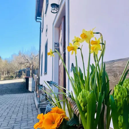 Haus Erna Apartment