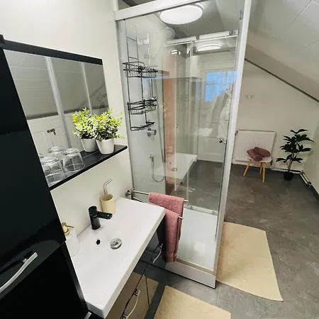 Haus Erna Apartment *
